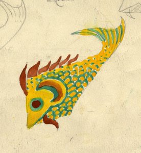 鱼类插图，约1950年。 作者 雪莉·马卡姆