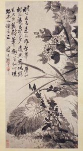 芙蓉，莲花和岩石1705-7。 作者 石涛