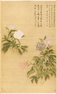 牡丹，挂轴