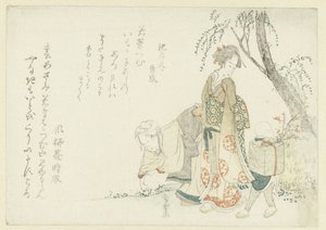 采集春天的七种草药 作者 修乐