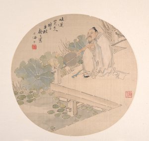 欣赏荷花。 作者 舒豪