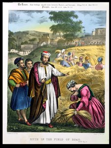 1880年代爱德华·戈弗（Edward Gover）出版的圣经中的露丝在波阿斯领域
