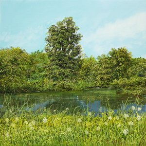 海岸场景 作者 西尔维安·斯特恩哈格尔