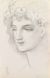 研究1867年的Garlanded Head 作者 西蒙·所罗门