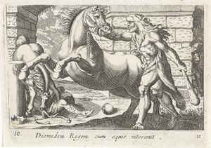赫拉克勒斯驯服狄俄墨得斯的马匹
Diomedem Regem cum equis（物体上的标题）
大力士主题（系列标题） 作者 安东尼奥·坦佩斯塔