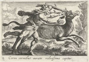 赫拉克勒斯捕获雌鹿 Cerynea
Cerva cornibus auratis velocissima capitur（物体上的标题）
大力士主题（系列标题） 作者 安东尼奥·坦佩斯塔