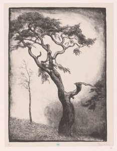 松树 作者 Simon Moulijn（艺术家签名）