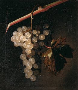 一串葡萄挂在石墙前，1709年