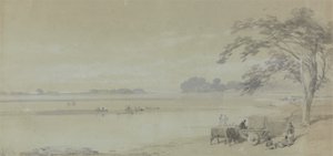 加尔各答附近的水景