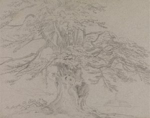 树木研究 作者 George Howland Beaumont 爵士第七世男爵