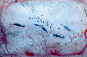 之间的空间，2022 年（照片） 作者 西塞·布林伯格