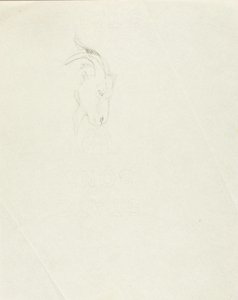山羊 作者 梭伦·H·博格勒姆