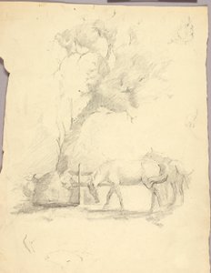 马和树 作者 梭伦·H·博格勒姆