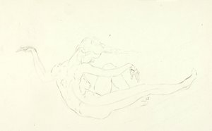 裸泳 作者 梭伦·H·博格勒姆