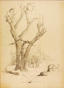无标题 作者 梭伦·H·博格勒姆