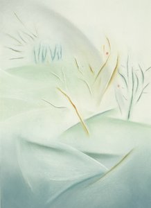 冬季 作者 苏菲·哈克