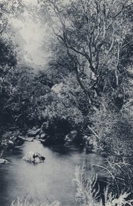A Fairy Scene, near Witpoortje (b/w photo) 作者 南非摄影师