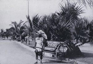 Bay Esplanade, Durban, showing Ricksha (b/w photo) 作者 南非摄影师