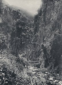 朝圣者休息处附近的场景（黑白照片） 作者 南非摄影师