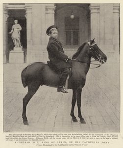 西班牙国王阿方索十三世（Alphonso XIII），他最喜欢的小马