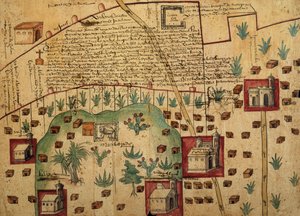 Ayer MS 1801地图1：墨西哥Hacienda de Santa Ines附近的Tultepec和Jaltocan地区的土地地图，1569年出版