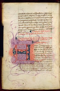 伯尼 252 号，第 4v 页，谜语首字母 "A"（nneus），位于 Pseudo-Seneca 的《致保罗书信集》（牛皮纸）西班牙文译本的开头。 作者 西班牙语学校