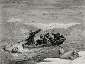 斯瓦尔巴德群岛斯匹次卑尔根群岛狩猎海象与鱼叉，1865年“回归世界”的插图 作者 西班牙语学校