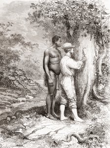 Jules Crevaux在1878年探索法属圭亚那期间，在Oyapock或Oiapoque河岸的一棵树上雕刻他的首字母 作者 西班牙语学校