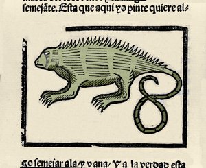 鬣蜥的表示。 来自 Gonzalo Fernandez de Oviedo (Gonzalo) 或 Fernandez de, ou Hernandez de Oviedo y Valdes (1478-1557) 作者 西班牙语学校