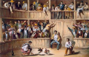 古巴瓦拉德加洛斯（彩色石版画） 作者 西班牙语学校