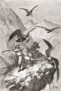 ÉdouardFrançoisAndré和他的同伴在1875  -  76年在安第斯山脉的山麓进行植物学探险期间遭到厄瓜多尔皮钦查省Calacali附近的秃鹰袭击 作者 西班牙语学校