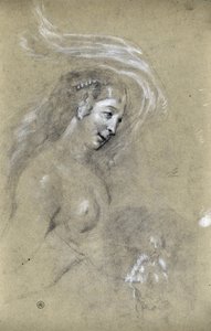 女性侧面研究（图）