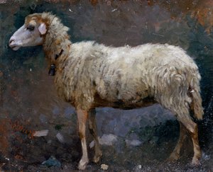 羊的侧面，Stefano Bruzzi (1835-1911) 作画，纸板油彩