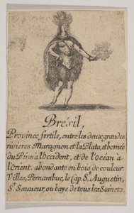 巴西，1644年。 作者 斯蒂法诺·德拉·贝拉