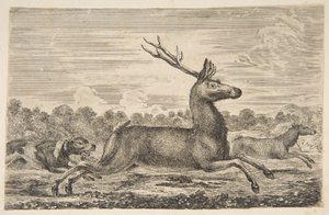 追逐鹿和母鹿的猎犬，ca。 1654年。 作者 斯蒂法诺·德拉·贝拉
