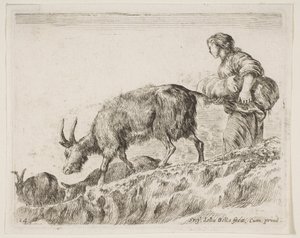 图板14：来自各种动物Diversi animali，ca。的牧羊人放牧山羊。 1641。 作者 斯蒂法诺·德拉·贝拉