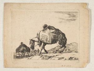 图版1：一匹驮马，出自《各种动物》Diversi animali，约1641年。 作者 斯蒂法诺·德拉·贝拉