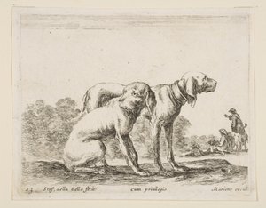 图23：两只猎犬，来自《 Diversi animali》的各种动物。 1641。
