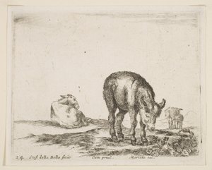 图24：驴，来自各种动物Diversi animali，ca. 1641。 作者 斯蒂法诺·德拉·贝拉
