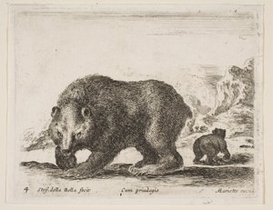 图版4：熊，出自《各种动物》Diversi animali，1641年。 作者 斯蒂法诺·德拉·贝拉