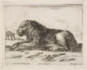 图5：卧狮，来自各种动物Diversi animali，1641。 作者 斯蒂法诺·德拉·贝拉