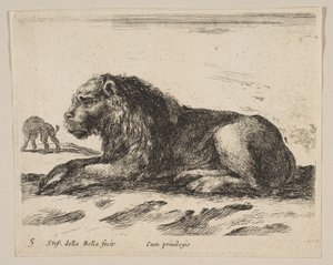 图5：卧狮，来自各种动物Diversi animali，ca. 1641。 作者 斯蒂法诺·德拉·贝拉