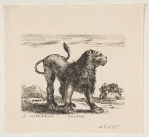 图版6：狮子，出自《各种动物》Diversi animali，约1641年。 作者 斯蒂法诺·德拉·贝拉