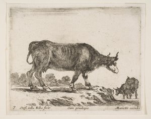 图7：牛，来自各种动物Diversi animali，ca。 1641。