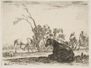 图版8：右边坐着的一匹马，从后面看向左转，另外三头马……，1642年。
