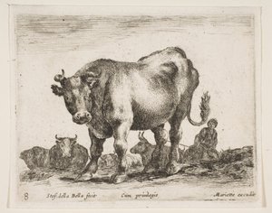 图8：牛，来自各种动物Diversi animali，ca。 1641。 作者 斯蒂法诺·德拉·贝拉