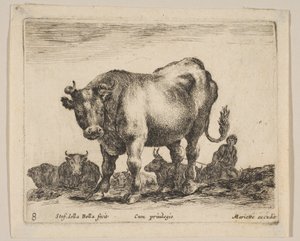 图版8：牛，来自《各种动物》Diversi animali，约1641年。 作者 斯蒂法诺·德拉·贝拉