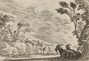 躺着的两只山羊，1642年。 作者 斯蒂法诺·德拉·贝拉
