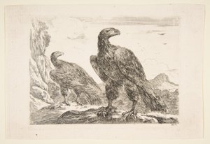 两只老鹰，出自《老鹰》Les aigles，约1651年。 作者 斯蒂法诺·德拉·贝拉