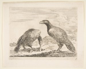 大约从伊格尔斯莱斯艾格勒斯（Eagles Les aigles）出来的两只老鹰，一只在吞食羔羊。 1651。 作者 斯蒂法诺·德拉·贝拉